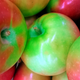 Illustration for article titled 9 Delicious Photos Of Produce That Will Probably Turn You Vegan